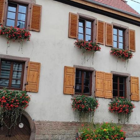 Gite A L'Aigle De Sable Kintzheim Exterior foto