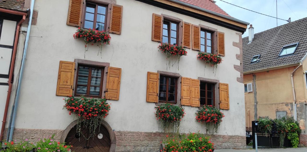 Gite A L'Aigle De Sable Kintzheim Exterior foto